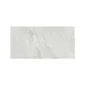 Capucino OX601201P Onyx Icey 60x120cm
