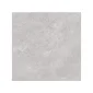 Rialto MEM SIL03N Silver Nature 60x60cm