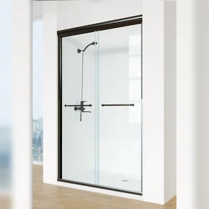 Cool Shower Door Clear Black Package 6mm