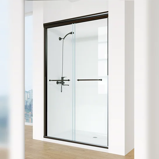 Cool Shower Door Clear Black Package 6mm