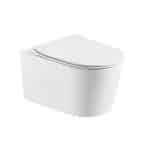 Cool Wall Hung Toilet Regal (AB-0513T)