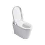 Cool Atlas Intellet 1-pc Watercloset