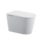 Cool Watercloset Smart Blaise 700x430x460mm