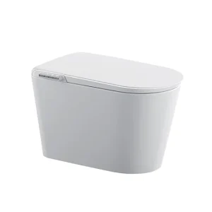 Cool Watercloset Smart Blaise 700x430x460mm