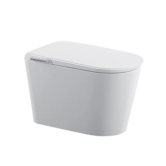 Cool Watercloset Smart Blaise 700x430x460mm