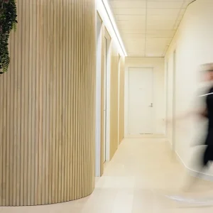 Radius Wall Lining
