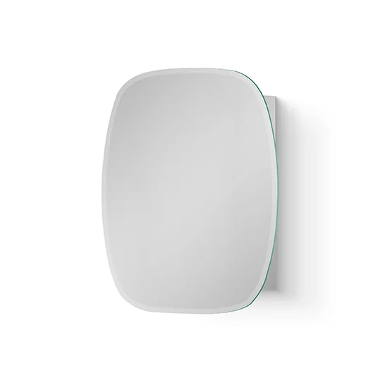 Cool Mirror Cabinet SS304 450x600x110mm