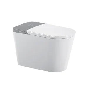 Cool Watercloset Intelligent Summit White 700x430x460mm