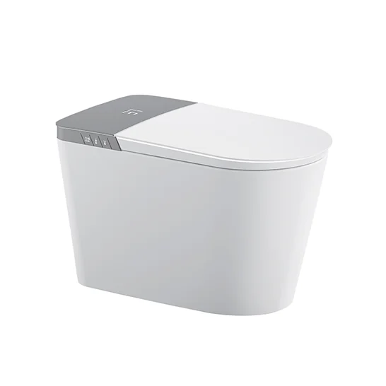 Cool Watercloset Intelligent Summit White 700x430x460mm