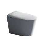 Cool Watercloset Intelligent Shelton White 684x407x462mm