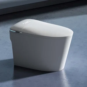 Cool Watercloset Intelligent Shelton White 684x407x462mm