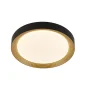 Malco 9576 Ceiling Lamp Black Gold 30W