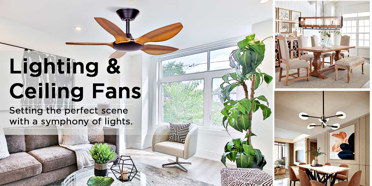 Lighting and Ceiling Fan