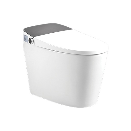 Cool Frontier Intellet 1pc Watercloset White