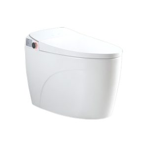 Cool Crest Intellet 1pc Watercloset White